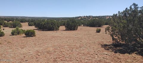 Tiny photo for 9142 Texas Lane, Show Low, AZ 85901 (MLS # 256555)