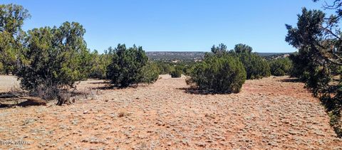 Tiny photo for 9142 Texas Lane, Show Low, AZ 85901 (MLS # 256555)