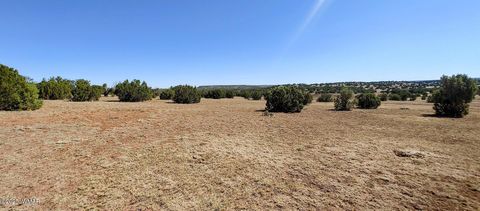 Tiny photo for 9142 Texas Lane, Show Low, AZ 85901 (MLS # 256555)