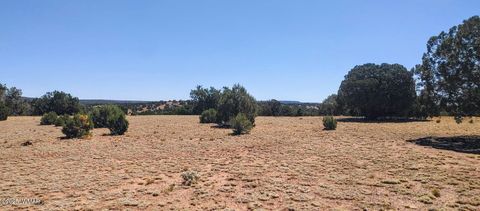 Tiny photo for 9142 Texas Lane, Show Low, AZ 85901 (MLS # 256555)