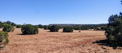 Tiny photo for 9142 Texas Lane, Show Low, AZ 85901 (MLS # 256555)
