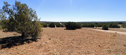 Tiny photo for 9142 Texas Lane, Show Low, AZ 85901 (MLS # 256555)