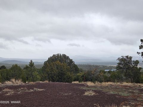 Tiny photo for Lot 20 Mountain Pine Road, Vernon, AZ 85940 (MLS # 259281)