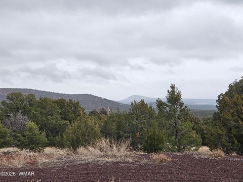Tiny photo for Lot 20 Mountain Pine Road, Vernon, AZ 85940 (MLS # 259281)