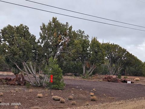 Tiny photo for Lot 20 Mountain Pine Road, Vernon, AZ 85940 (MLS # 259281)