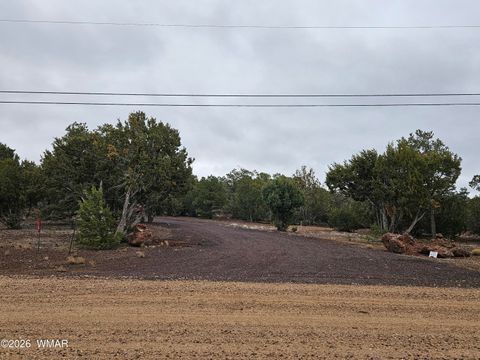 Tiny photo for Lot 20 Mountain Pine Road, Vernon, AZ 85940 (MLS # 259281)