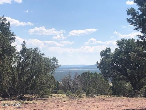 Tiny photo for Lot 20 Mountain Pine Road, Vernon, AZ 85940 (MLS # 259281)