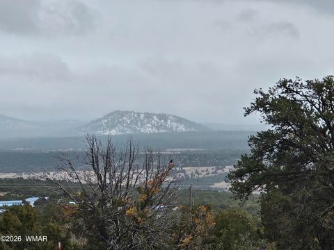 Tiny photo for Lot 20 Mountain Pine Road, Vernon, AZ 85940 (MLS # 259281)