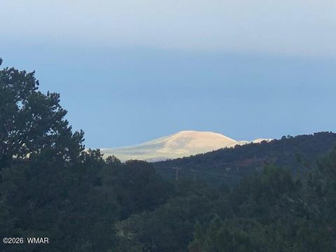 Tiny photo for Lot 20 Mountain Pine Road, Vernon, AZ 85940 (MLS # 259281)