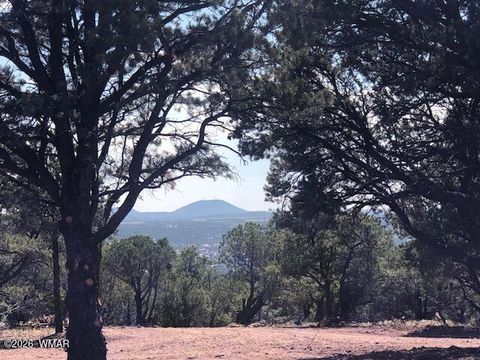 Photo of Lot 20 Mountain Pine Road, Vernon, AZ 85940 (MLS # 259281)