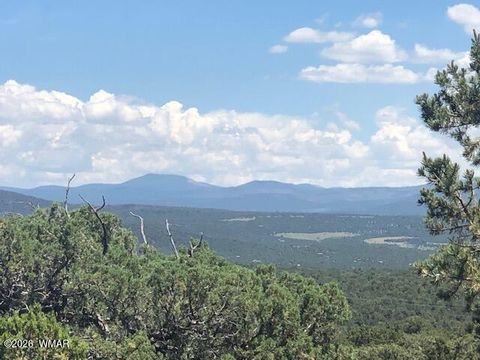 Tiny photo for Lot 20 Mountain Pine Road, Vernon, AZ 85940 (MLS # 259281)