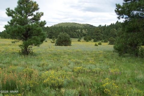 Photo of Lot 5 Red Cabin Ranch Unit II, Vernon, AZ 85940 (MLS # 260074)