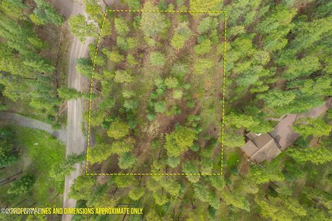 Tiny photo for 29 N1068, Greer, AZ 85927 (MLS # 255176)