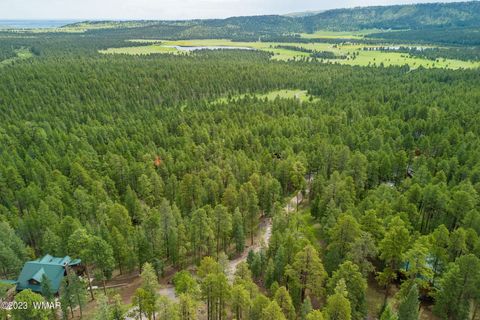 Tiny photo for 29 N1068, Greer, AZ 85927 (MLS # 255176)