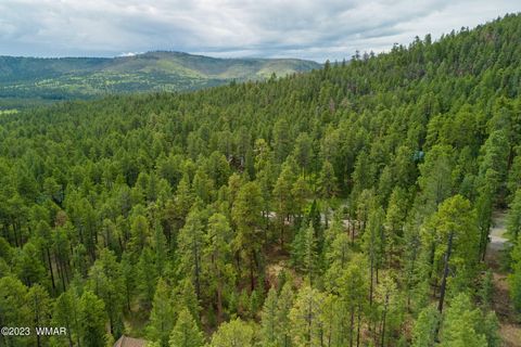Tiny photo for 29 N1068, Greer, AZ 85927 (MLS # 255176)