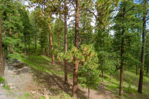 Tiny photo for 29 N1068, Greer, AZ 85927 (MLS # 255176)