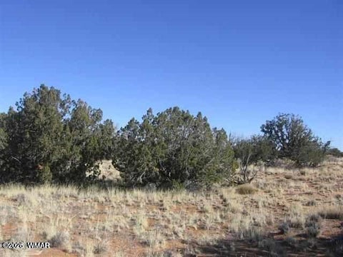 Tiny photo for Lot 537 Chevelon Canyon Ranch, Lot 537, Heber, AZ 85928 (MLS # 263302)