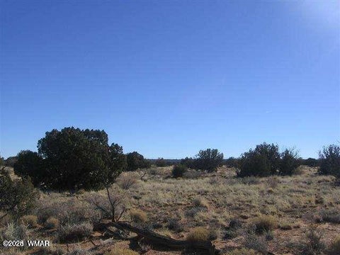 Tiny photo for Lot 537 Chevelon Canyon Ranch, Lot 537, Heber, AZ 85928 (MLS # 263302)