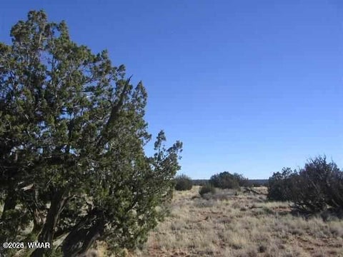 Photo of Lot 537 Chevelon Canyon Ranch, Lot 537, Heber, AZ 85928 (MLS # 263302)