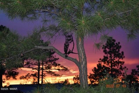 Tiny photo for 1491 W Snow Creek Trail, Show Low, AZ 85901 (MLS # 259629)