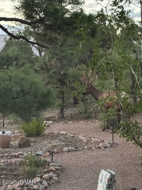 Tiny photo for 1491 W Snow Creek Trail, Show Low, AZ 85901 (MLS # 259629)