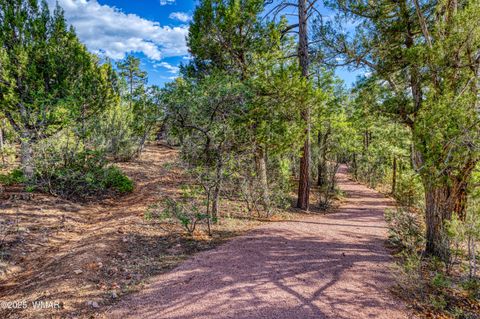 Tiny photo for 1491 W Snow Creek Trail, Show Low, AZ 85901 (MLS # 259629)