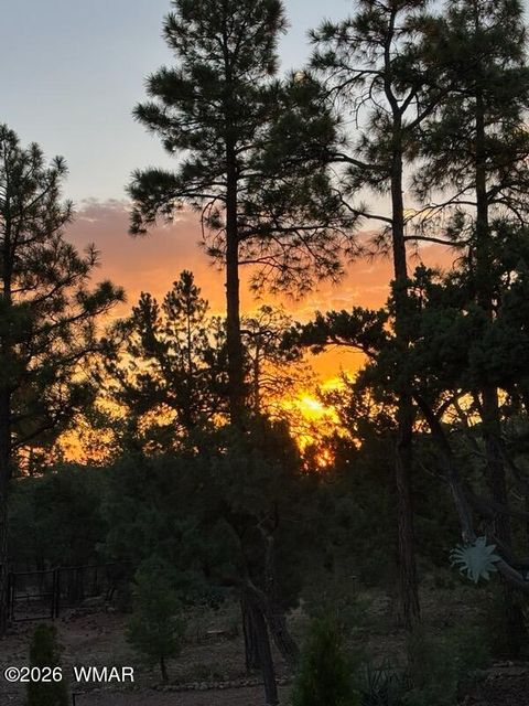 Tiny photo for 1491 W Snow Creek Trail, Show Low, AZ 85901 (MLS # 259629)