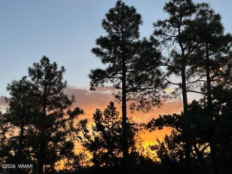 Tiny photo for 1491 W Snow Creek Trail, Show Low, AZ 85901 (MLS # 259629)