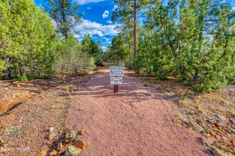Tiny photo for 1491 W Snow Creek Trail, Show Low, AZ 85901 (MLS # 259629)