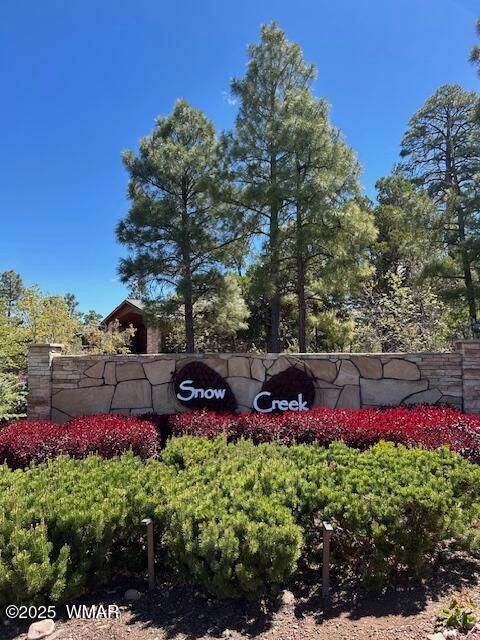 Tiny photo for 1491 W Snow Creek Trail, Show Low, AZ 85901 (MLS # 259629)