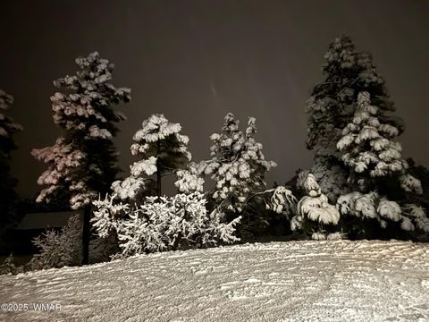 Tiny photo for 1491 W Snow Creek Trail, Show Low, AZ 85901 (MLS # 259629)