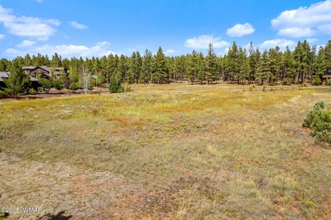 Tiny photo for 9585 Sierra Springs Drive, Pinetop, AZ 85935 (MLS # 258054)
