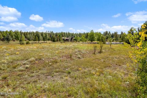 Tiny photo for 9585 Sierra Springs Drive, Pinetop, AZ 85935 (MLS # 258054)