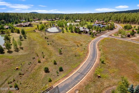 Tiny photo for 9585 Sierra Springs Drive, Pinetop, AZ 85935 (MLS # 258054)