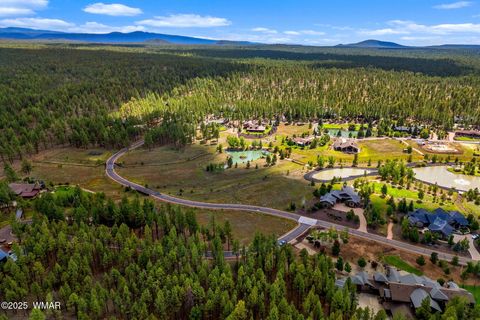 Tiny photo for 9585 Sierra Springs Drive, Pinetop, AZ 85935 (MLS # 258054)