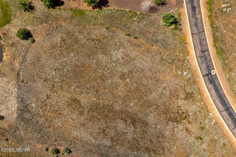 Tiny photo for 9585 Sierra Springs Drive, Pinetop, AZ 85935 (MLS # 258054)