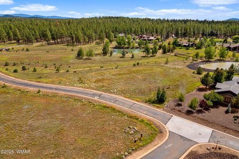 Tiny photo for 9585 Sierra Springs Drive, Pinetop, AZ 85935 (MLS # 258054)