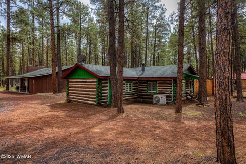 Photo of 372 W White Mountain Boulevard, Lakeside, AZ 85929 (MLS # 258092)