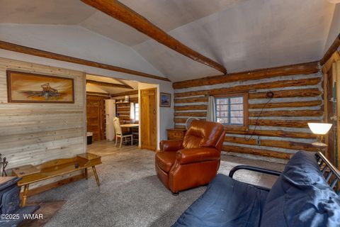 Tiny photo for 372 W White Mountain Boulevard, Lakeside, AZ 85929 (MLS # 258092)