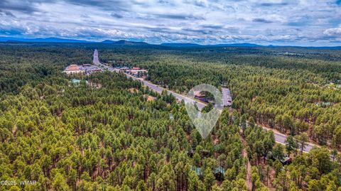 Tiny photo for 372 W White Mountain Boulevard, Lakeside, AZ 85929 (MLS # 258092)