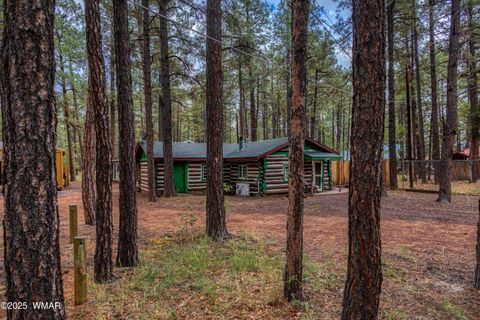 Tiny photo for 372 W White Mountain Boulevard, Lakeside, AZ 85929 (MLS # 258092)