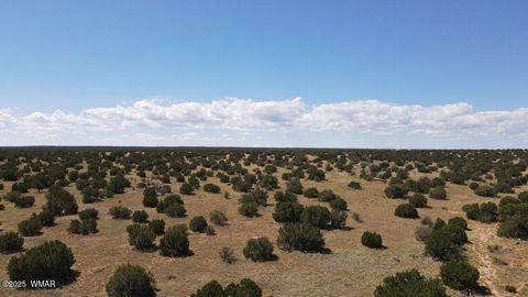 Tiny photo for 1749 Juniper Trail, Heber, AZ 85928 (MLS # 257189)