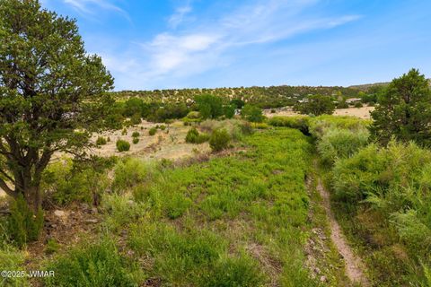 Tiny photo for 00 Marion Drive, Eagar, AZ 85925 (MLS # 258485)