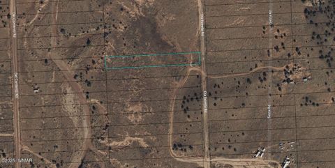 Tiny photo for 3976 Dia Estrella Road, Snowflake, AZ 85937 (MLS # 255611)