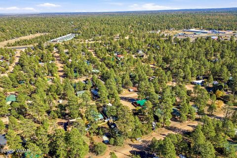 Tiny photo for 2880 Paint Pony Lane, Overgaard, AZ 85933 (MLS # 258633)