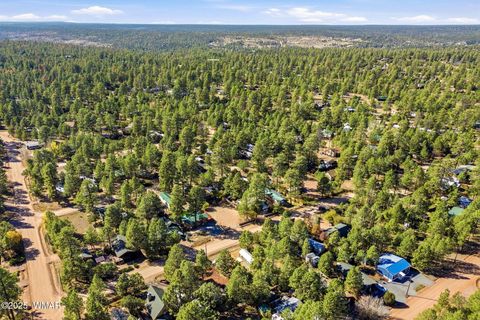 Tiny photo for 2880 Paint Pony Lane, Overgaard, AZ 85933 (MLS # 258633)