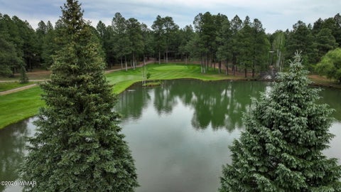 Tiny photo for 3417 Roaring Fork Drive, Pinetop, AZ 85935 (MLS # 262039)