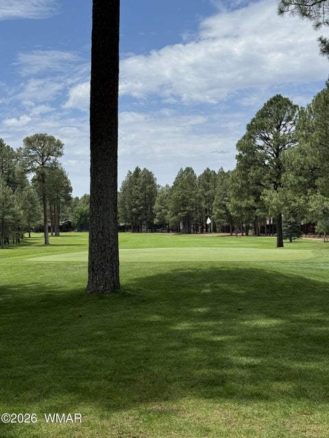 Tiny photo for 3417 Roaring Fork Drive, Pinetop, AZ 85935 (MLS # 262039)