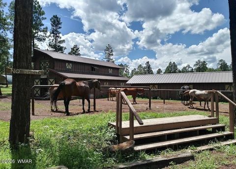 Tiny photo for 3417 Roaring Fork Drive, Pinetop, AZ 85935 (MLS # 262039)