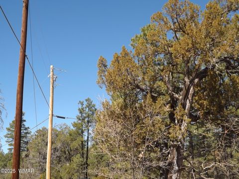 Tiny photo for 0004Y Parcel 1 Section 31, Overgaard, AZ 85933 (MLS # 255097)